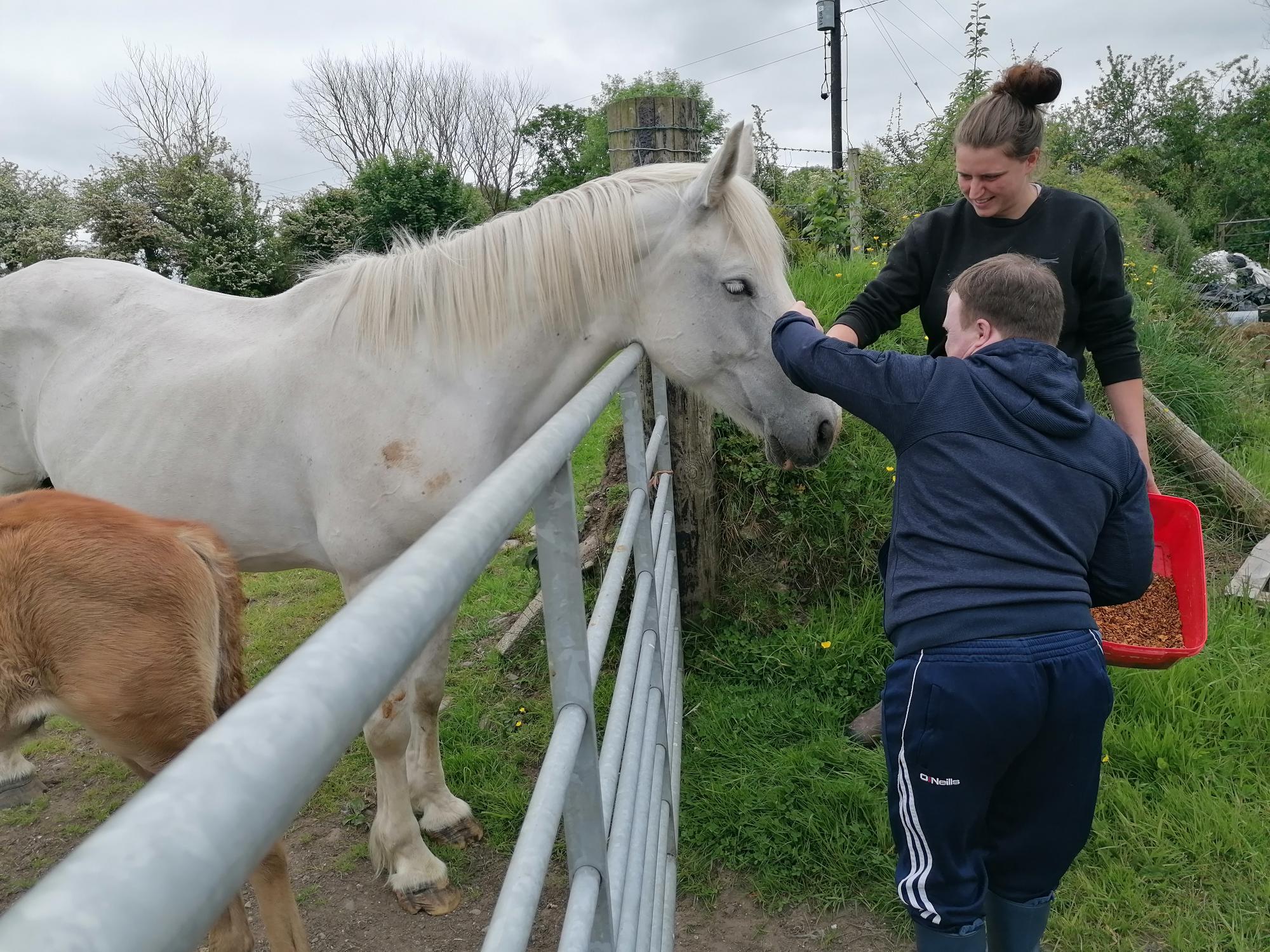 Kerry Social Farming